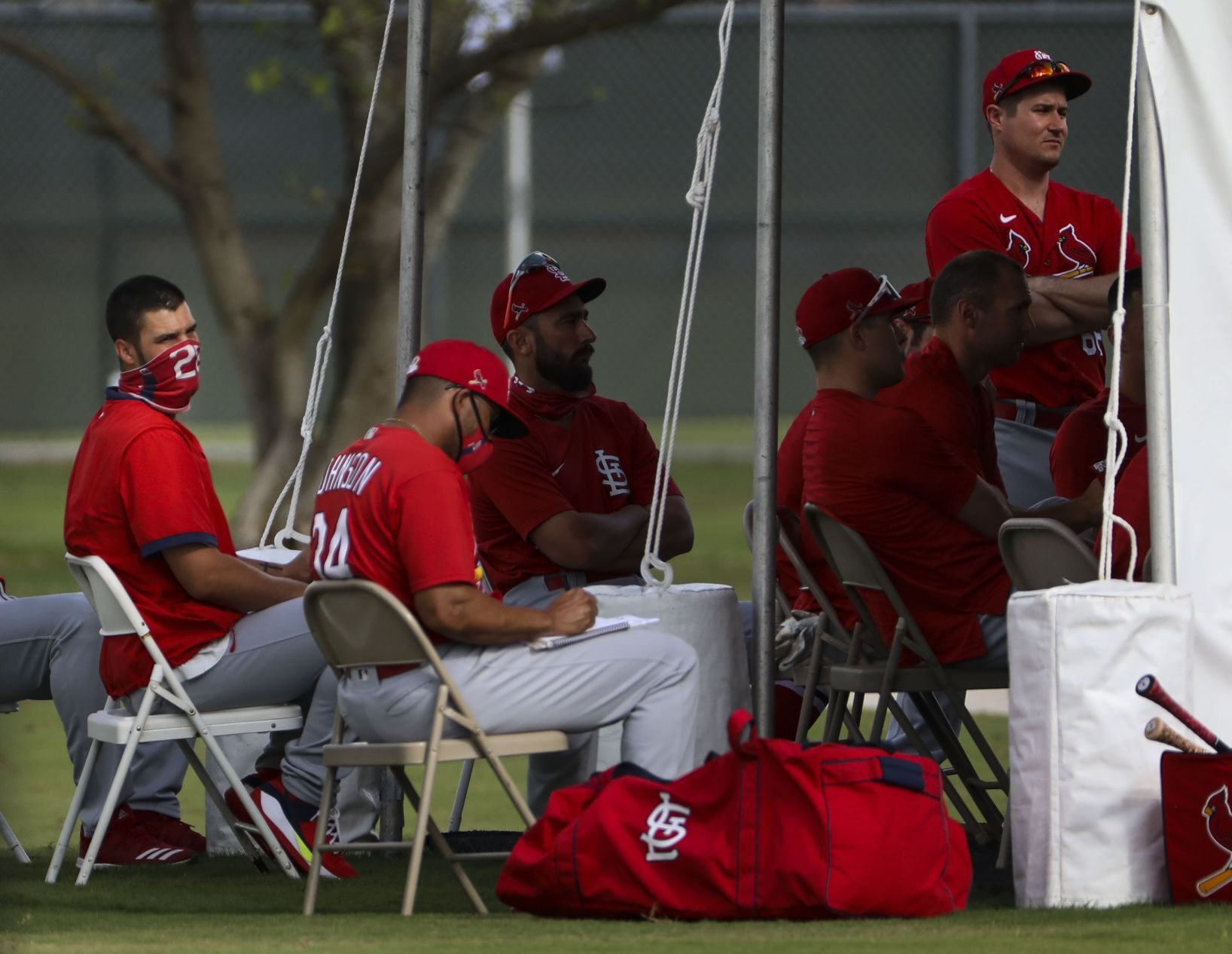 Day six of Cardinals spring training workouts
